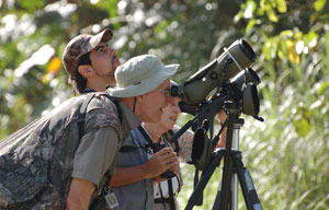 Birding Panama - Metro Park