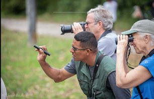 Birding Panama - Metro Park