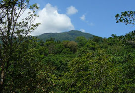 Cerro Hoya